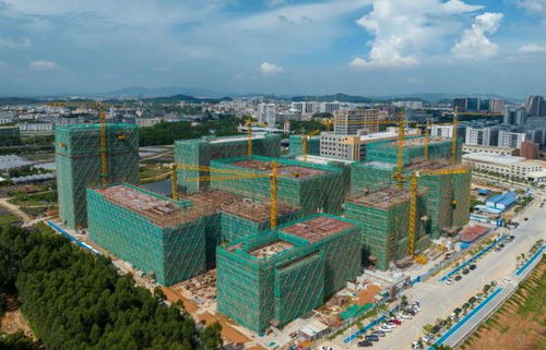 百千萬(wàn) 新氣象③ 大洲社區(qū) 產(chǎn)業(yè)發(fā)展為先 品質(zhì)環(huán)境為要