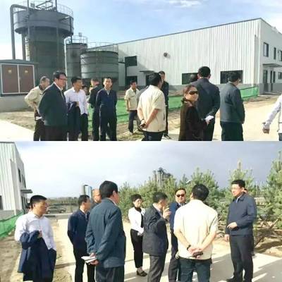 內蒙古自治區黨委常委、呼和浩特市委書記云光中一行蒞臨萬德斯環保項目現場視察指導