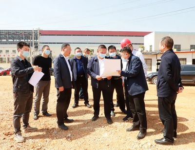 黃進到大龍開發區調研督導項目建設及生態環保、安全生產工作