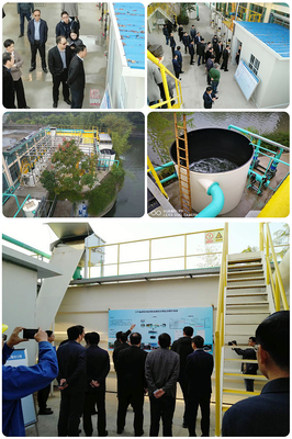 市委常委、區委書記李世貴一行考察我司江寧泵站污水凈化提升項目