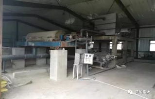 環(huán)保督察下的警示 龍頭企業(yè)污染、示范項(xiàng)目失靈與新型技術(shù)的破局之路